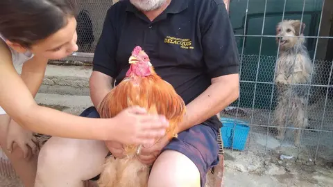 La bandada de pájaros de Martins Armenio (1)