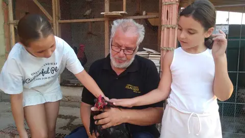 La bandada de pájaros de Martins Armenio (5)