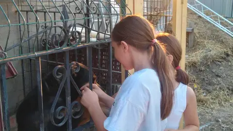 La bandada de pájaros de Martins Armenio (9)