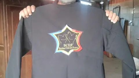 La bandada de pájaros de Martins Armenio (12)