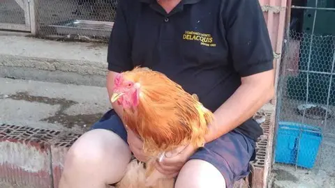 La bandada de pájaros de Martins Armenio (17)