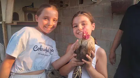 La bandada de pájaros de Martins Armenio (33)