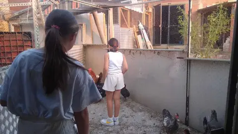 La bandada de pájaros de Martins Armenio (36)