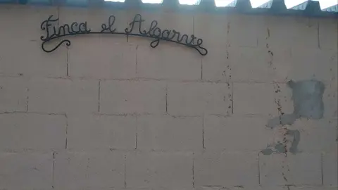 La bandada de pájaros de Martins Armenio (43)