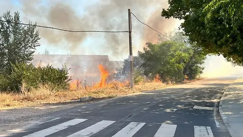 Llamas en el Canto. Foto Rocío Gato