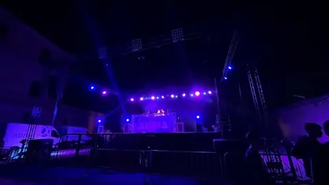 Toro fiestas (2)