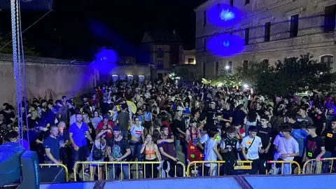 Toro fiestas (3)