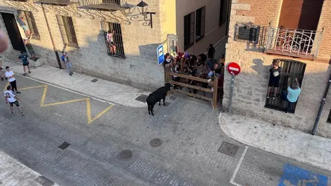 Toro fiestas (5)
