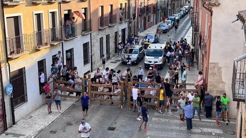 Toro fiestas (7)