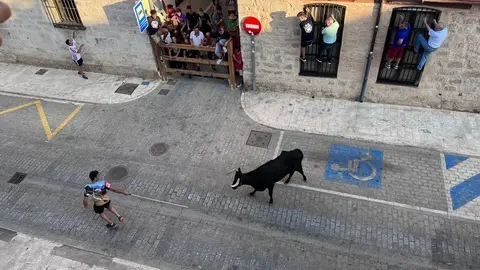 Toro fiestas (9)