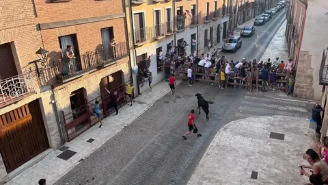 Toro fiestas (10)
