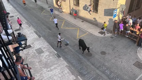 Toro fiestas (11)