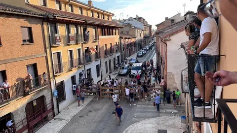 Toro fiestas (12)