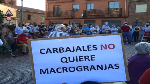 Contra las macrogranjas