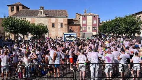 Toro en su tinta (1)