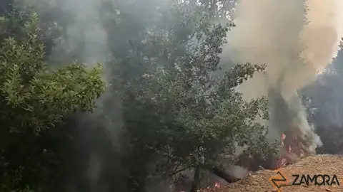 Imagen de archivo incendio