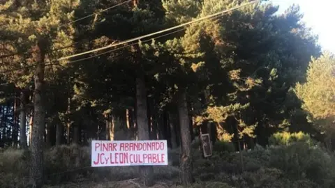 Pinar de El Terroso