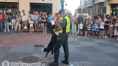 La exhibición canina del Grupo Cinológico de la Guardia Civil acapara miradas en la Feria de Productos de la Tierra. Fotografía: Interbenavente.es