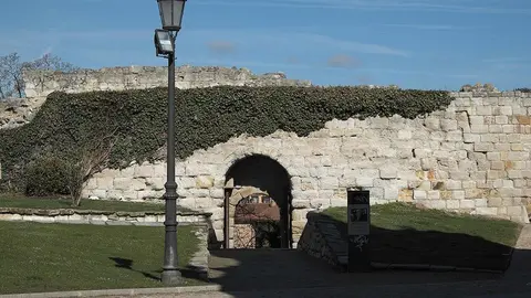 Portillo de la lealtad