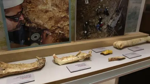 6exposición