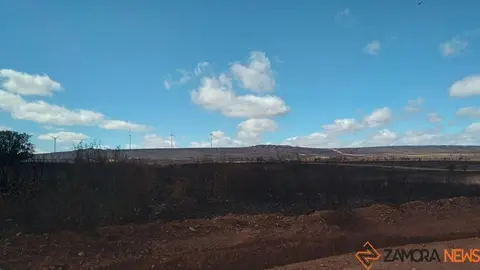 Terreno arrasado por el incendio de Losacio en Sesnández de Tábara