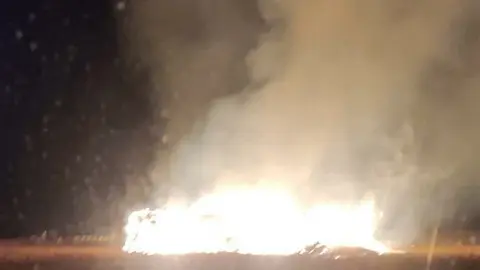 Llamas en Muelas del Pan, Foto infocyl.es