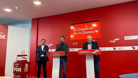 Rdp PSOE