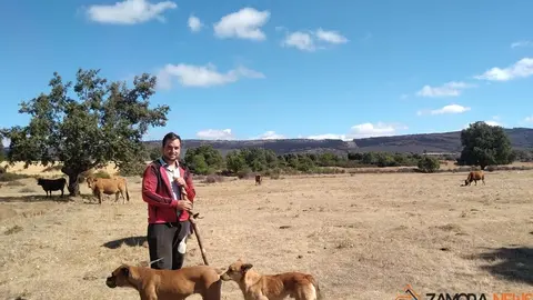 Joseba con sus vacas en Sesnández de Tábara