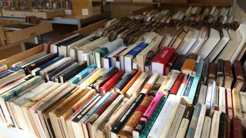 Feria del Libro y de Ocasión (3)
