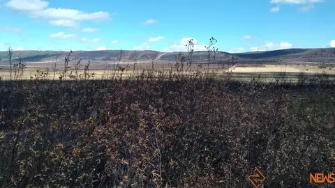 Zona quemada en Sesnández de Tábara