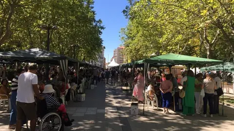 Encajeras Zamora (4)
