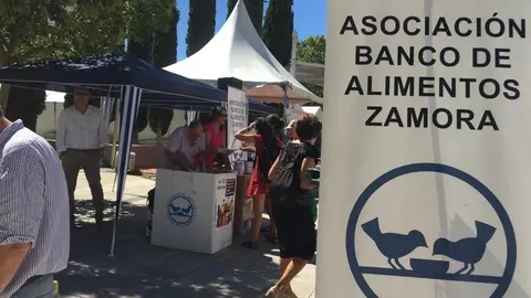 Comida solidaria (2)