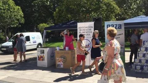Comida solidaria (4)