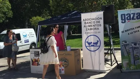 Comida solidaria (5)