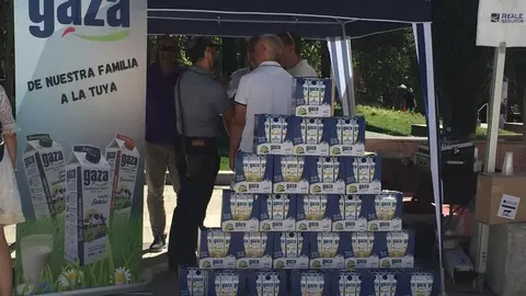 Comida solidaria (7)