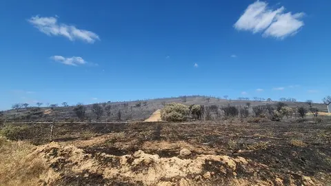 Foto del incendio en la Sierra de la Culebra