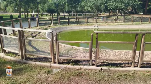 Actos vandálicos Benavente