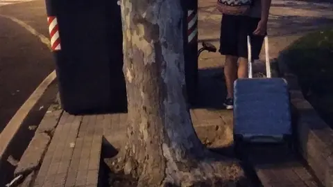 Contenedor colocado en el entorno de la estación de tren