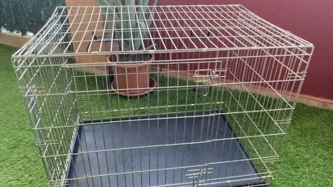 Petición ayuda jaula y vallados Protectora animales de Zamora