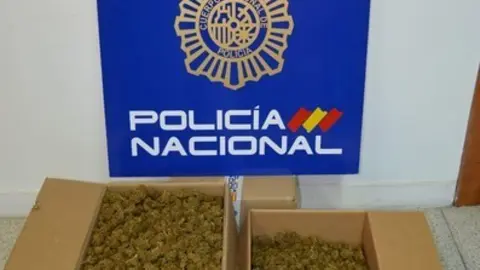 Cogollos incautados por la Policía Nacional