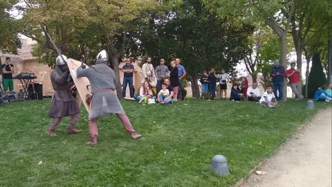 Representaci&oacute;n Zamora (9)