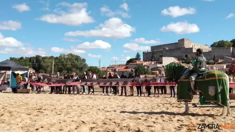 justas medievales cerco zamora 2022 (3)