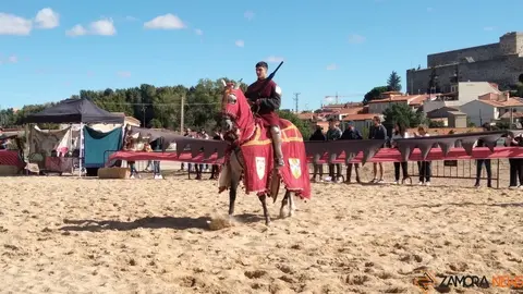 justas medievales cerco zamora 2022 (10)