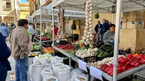 Feria del Pimiento. Foto Interbenavente