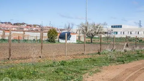 Huerto Urbano. Foto Interbenavente