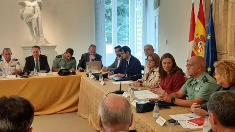 Reunión de la Comisión Territorial de Asistencia a la Delegada del Gobierno en Castilla y León