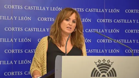 La viceportavoz del Grupo Socialista en las Cortes de Castilla y León, Patricia Gómez
