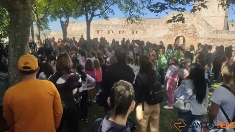 Mercado de Tendencias (1)