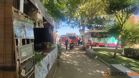 Mercado de Tendencias (9)