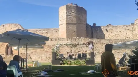 Mercado de Tendencias (10)